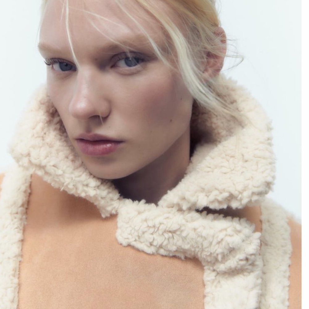 ZARA Women's Faux Shearling Double Faced Jacket(Light-camel, US XL/EUR XL) - Picture 6 of 14